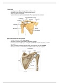 Samenvatting Anatomie Periode 3