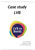 Psyschie Kwetsbaarheid Case Study LVB