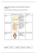 Unit 1: The Skeletal and Muscular Systems Task 1 