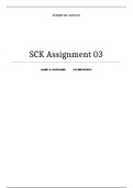 SCK Assignment 3