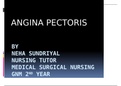 angina pectoris medical surgical nursing