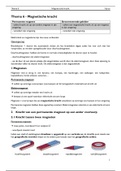 Magnetische kracht Fysica - Thema 6 - Quark 5&period;2 Samenvatting