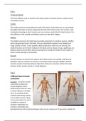 Unit 1, Assignment 2 Anatomy and Physiology 