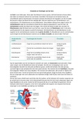 Anatomie en Fysiologie van het hart 