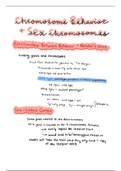 Sex Chromosomes Summary