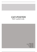 CAT uitwerking   CAT poster (cijfer 9,5!)