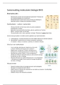 Samenvatting moleculaire biologie BM3 