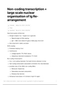 Ig Re-arrangement 