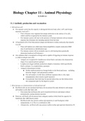 IB Biology Chapter 11 Animal Physiology Complete Notes