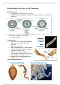 Platyhelminthes with a focus on the Trematodes
