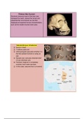 Fossil Record&lowbar;Anthropology 101&lowbar;Exam 3&lowbar;Study Guide