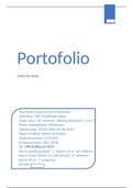 portfolio plp basis stage