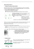 Summary HC.4 - electron microscopy