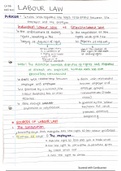 KRG 200 Commercial Law- Labour Law Notes Chapter 36