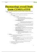 Nursing197 Cumulative Pharm Exam;/Nurs Cumulative Pharm Examing 197;/ Cumulative Pharm Exam;/ 