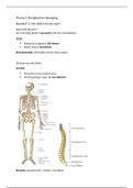 Stevigheid en beweging - Het skelet van de mens