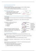 Summary of the lectures of functional genomics - minor DSDT