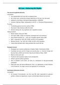 LPC NOTES ON EU LAW - ENFORCING EU RIGHTS (2019 / 2020, DISTINCTION) ( A graded LPC NOTES by GOLD rated Expert, Download to Score A)