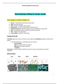 Chamberlain College of Nursing:BIOS 242 Microbiology Midterm Exam Guide / BIOS242 Microbiology Midterm Exam Guide ( Version 2, New  2020)