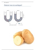 Onderzoeksverslag Osmose van een Aardappel Biologie 4VWO
