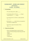 Physics worksheet Class 9 Work and Energy