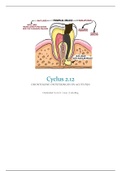 OOA Cyclus 2.12