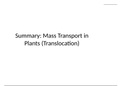 AS/A-Level Biology: Mass Transport in Plants (Translocation) Summary