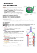 LEVEL 7 IB Biology notes - Topic 7: Nucleic Acids