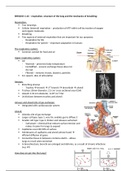 Respiration and the structure of lungs 