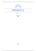 Project 6 groepsopdracht