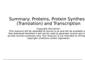 FREE AS/A-Level Biology Summary: Proteins, Transcription and Translation