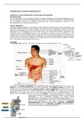 Samenvatting Anatomie k4 leerjaar 1