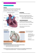 Koronare Herzkrankheiten- Lernmaterial für die Prfüfung