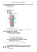 Anatomy and Development 3