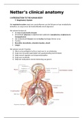 Samenvatting H1 en 3 (resp. system + thoracic cavity and lungs) - Netter's Clinical Anatomy 