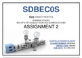 SDBECOS Assignment 2 2020