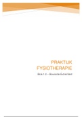 Praktijk Fysiotherapie - Onderzoek en Behandeling (blok 1.2)