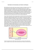 human anatomy and physiology essay: Sickle Cell Disease