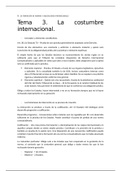 Derecho Internacional Público. Tema 3