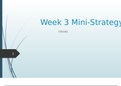 STR-581 Week 3 Mini Strategy Presentation – Google (18 Slides, References, Speaker’s Notes) (latest 2022/2023)