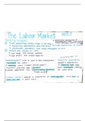 Unit 9: The Labour Market