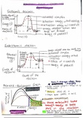 Chemical equilibrium and reaction rates notes