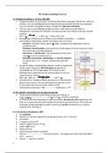 Samenvatting anatomie & fysiologie H6