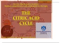 THE CITRC ACID CYCLE AND REGULATION