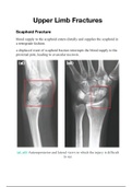 ALL YOU NEED TO KNOW about UPPER LIMB FRACTURES - Medical School