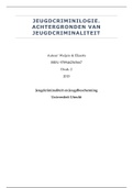 Volledige Nederlandse Samenvatting Boek Jeugdcriminologie: Achtergronden van Jeugdcriminaliteit van Weijers & Eliaerts
