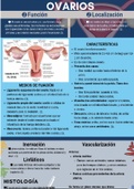 Infografía ovario