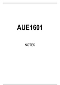 AUE1601 STUDY NOTES
