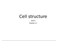 Cell Structure flashcards