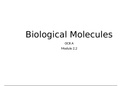 Biological Molecules Flashcards